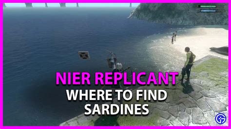 nier replicant sardines.